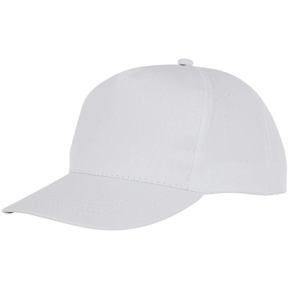 Logotrade promotional gifts photo of: Hades 5 panel cap