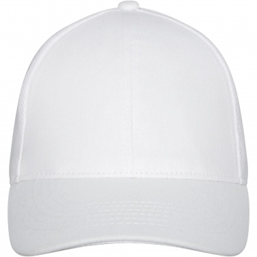Logotrade advertising product picture of: Drake 6 panel trucker cap