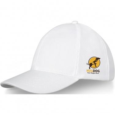 Logotrade promotional gift picture of: Drake 6 panel trucker cap