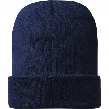 Logotrade business gifts photo of: Hale Polylana® beanie
