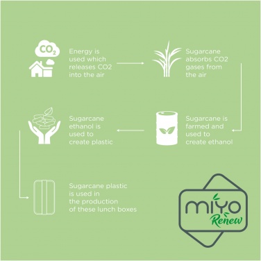 Logotrade corporate gift picture of: MIYO Renew single layer lunch box