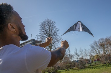 Logotrade promotional merchandise picture of: Delta kite