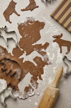 Logo trade promotional merchandise picture of: VINGA Nordic big 5 cookie cutter 5-piece set