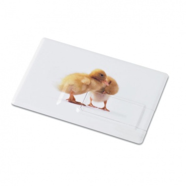 Logo trade corporate gifts image of: Creditcard. USB flash 4GB