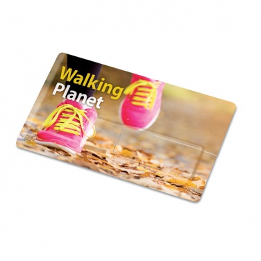 Logo trade promotional giveaway photo of: Creditcard. USB flash 4GB