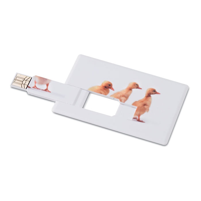 Logotrade promotional item image of: Creditcard. USB flash 16GB