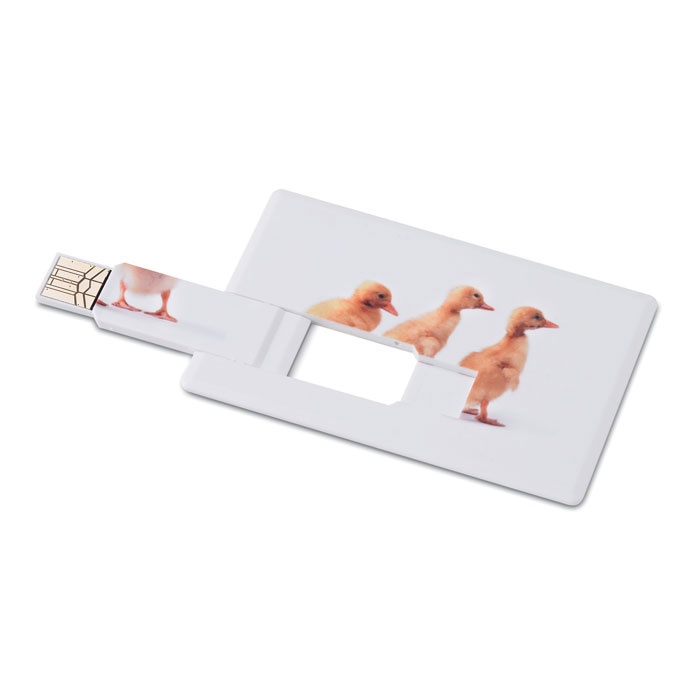 Logotrade promotional merchandise image of: Creditcard. USB flash 32GB