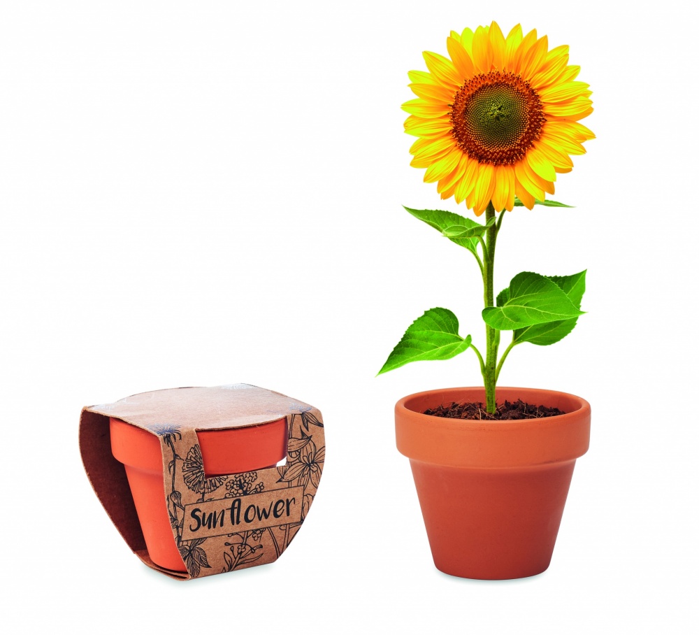 Logotrade advertising product image of: Terracotta pot 'sunflower'