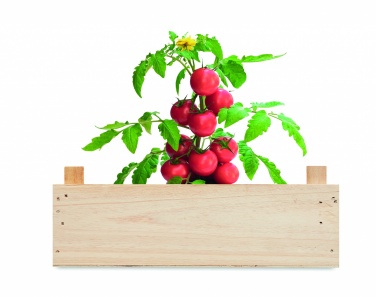 Logotrade promotional merchandise picture of: Tomato kit in wooden crate