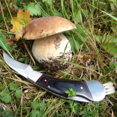 Logotrade promotional product picture of: Mushroom knife PILZ Schwarzwolf