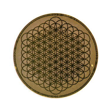 Logotrade promotional gift image of: Radiation remover
