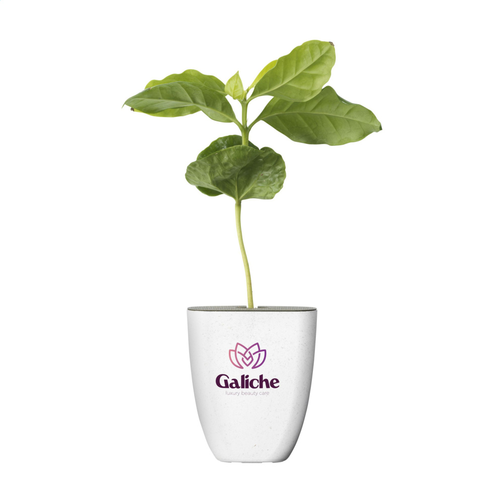 Logo trade advertising product photo of: Treemore Letterbox Trees Coffee
