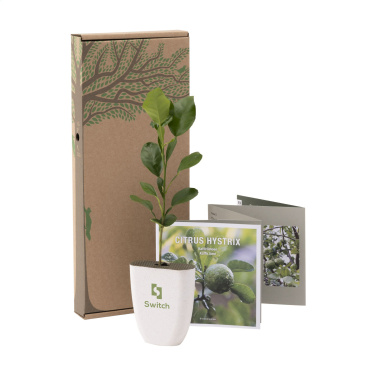 Logotrade promotional giveaways photo of: Treemore Letterbox Trees Kaffir Lemon
