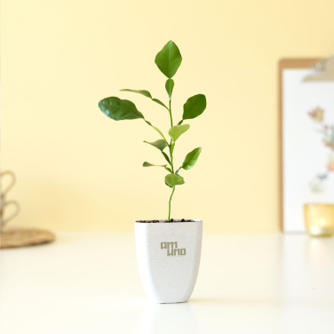 Logo trade promotional giveaway photo of: Treemore Letterbox Trees Kaffir Lemon