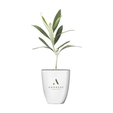 Logotrade promotional item picture of: Treemore Letterbox Trees Olive