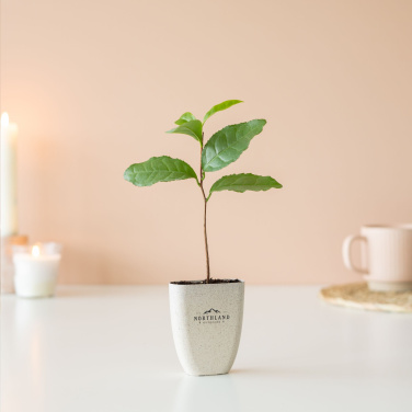 Logotrade promotional giveaways photo of: Treemore Letterbox Trees Tea plant