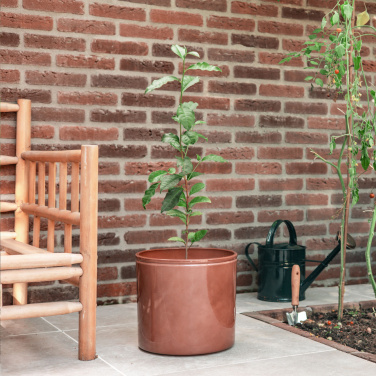 Logo trade promotional items picture of: Treemore Letterbox Trees Tea plant