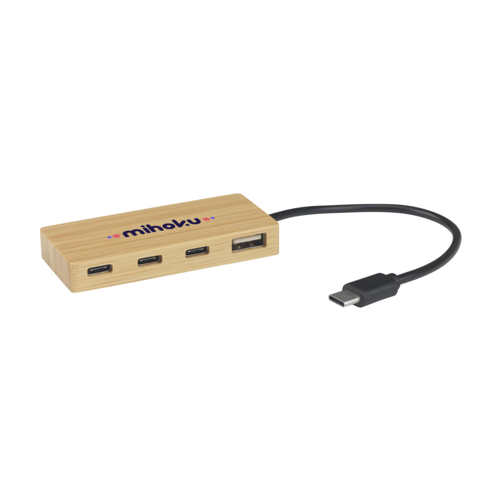Logotrade promotional product picture of: Fyra Bamboo Hub
