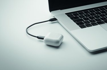 Logo trade promotional giveaways image of: 4 in 1 cable connector set 15W