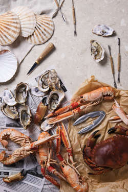 Logo trade business gift photo of: VINGA Story of seafood