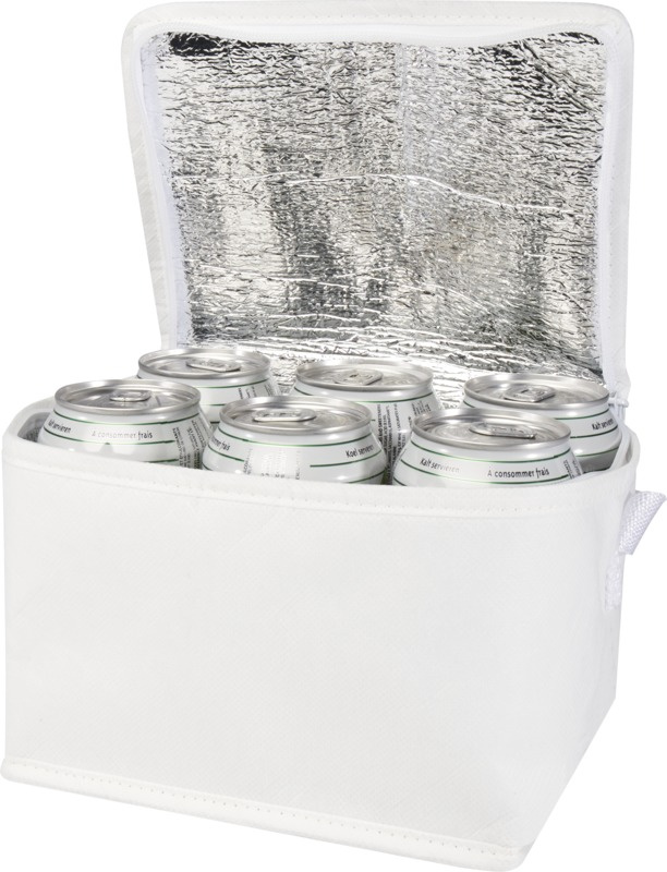 Logotrade promotional giveaway image of: Spectrum 6-can recycled non-woven cooler bag 4L