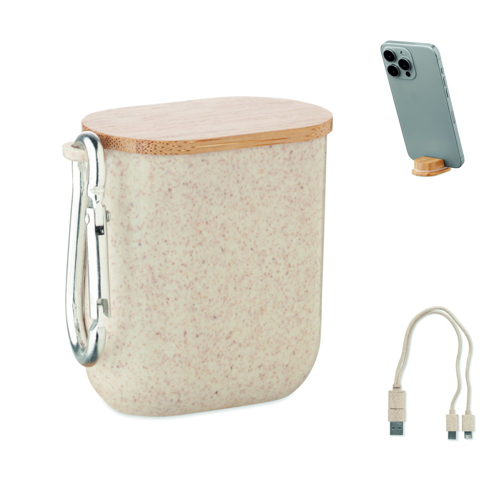 Logotrade corporate gift picture of: Cable set in case