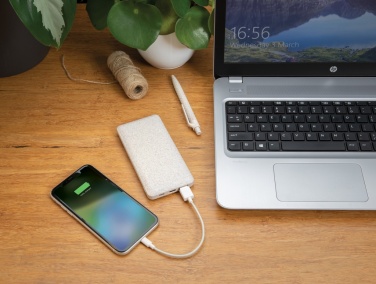 Logo trade reklaamkingi pilt: 10 000 mah nisuõlgedest akupank