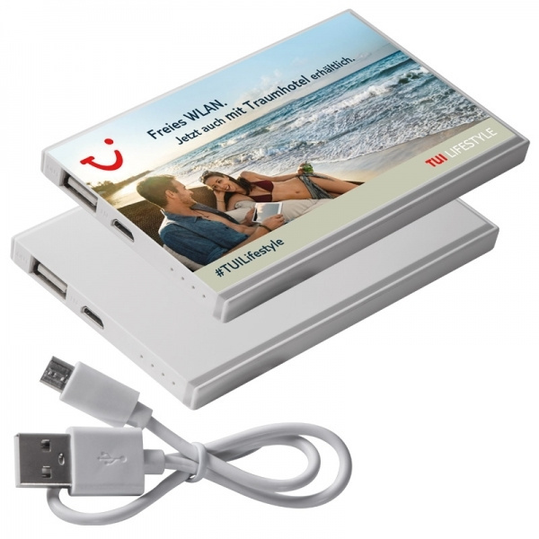 Logo trade firmakingi pilt: Akupank PINEVILLE 2200 mAh