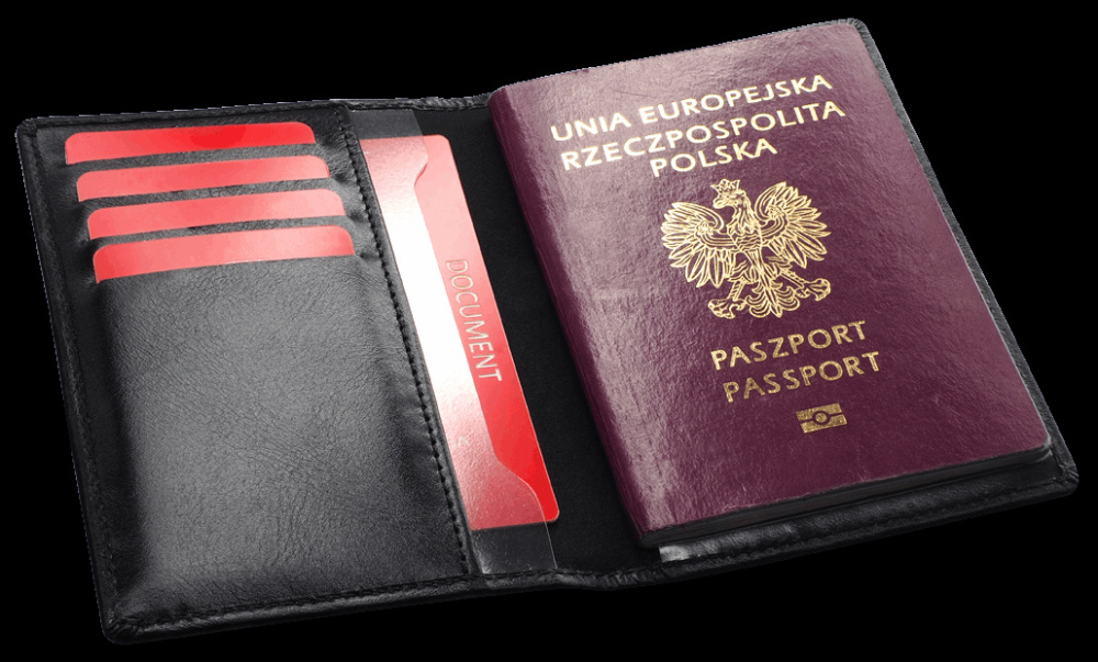 Logotrade ärikingitused pilt: RFID passi ümbris 1301131