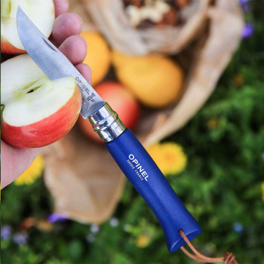 Logotrade ärikingitused pilt: Opinel Colorama No 08 taskunuga