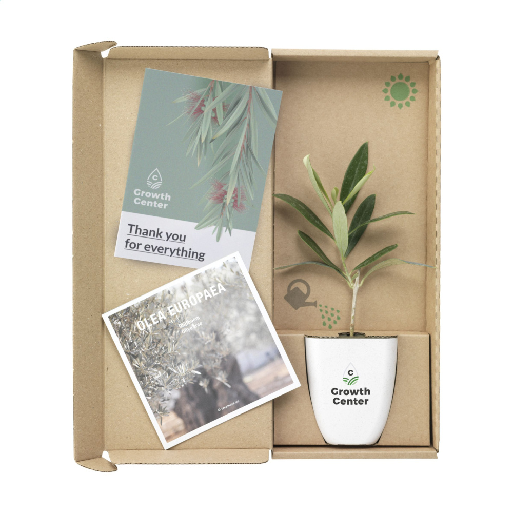 Logo trade reklaamkingi pilt: Treemore Letterbox Trees Olive