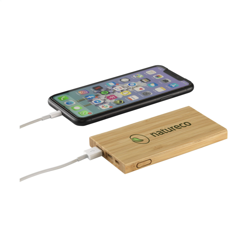 Logotrade reklaamkingitused pilt: Bamboo 4000 bambusest akupank