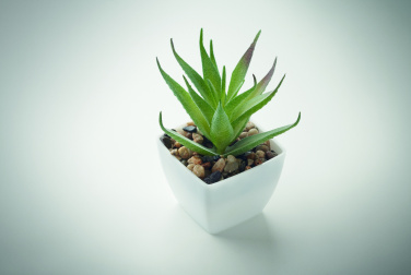 Logotrade reklaamtoote foto: ARTILOE mini aaloe kunsttaim
