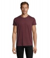 REGENT F VĪRIEŠU T-KREKLS 150g, Heather Oxblood