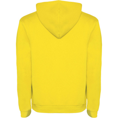 Logotrade profilreklam bild: Urban hoodie för herr
